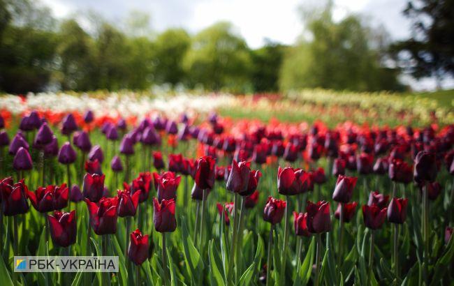 З тритижневим запізненням: до Києва прийшло метеорологічне літо