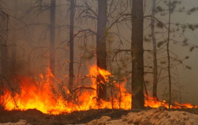 В Забайкальском крае РФ действуют 33 лесных пожара