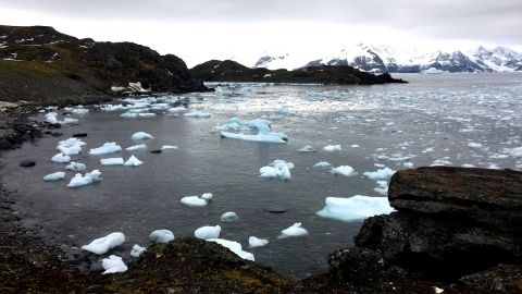 Антарктика: підступний лід та хвилюючі таємниці далеких островів