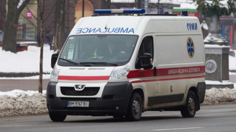 В Винницкой области из-за падения дерева погиб еще один человек