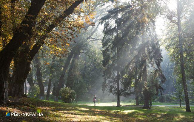Місцями туман та похолодання: прогноз погоди на сьогодні