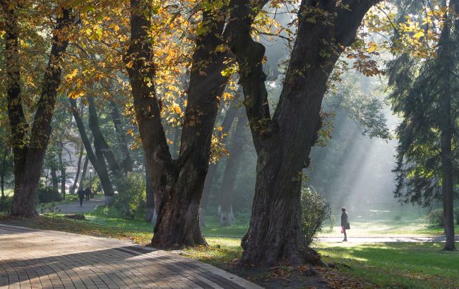 Морозів до кінця жовтня не очікується: прогноз Укргідрометцентру