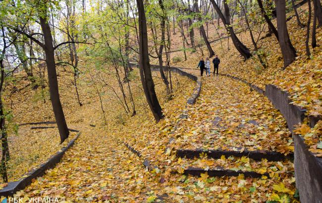 "Будут красивые туманы": синоптик дала прогноз погоды на выходные