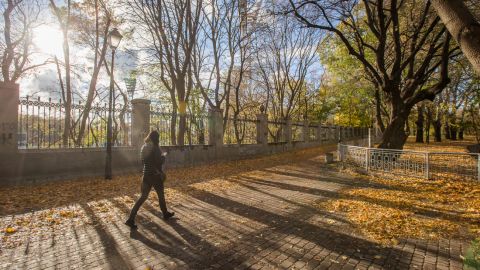 Бабине літо прийде без особливого тепла: синоптики оновили прогноз
