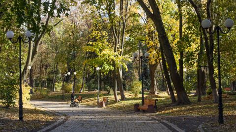 Без опадів та до +27 тепла: прогноз погоди на сьогодні