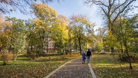 На заході країни очікуються дощі