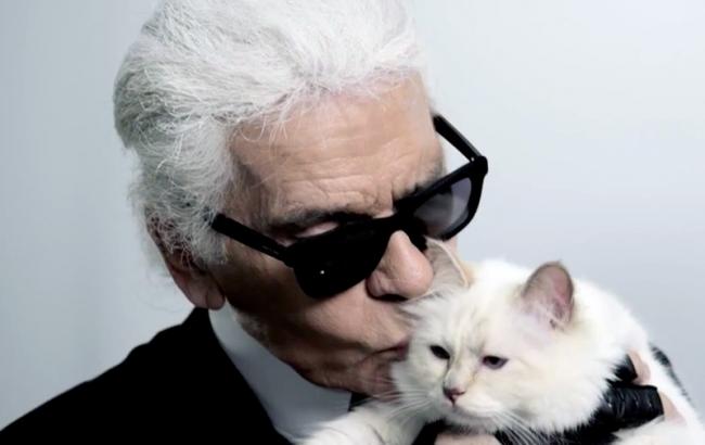 Кошка Карла Лагерфельда заработала 3 млн евро за год