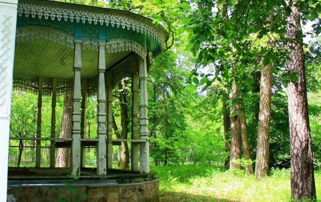 В оточенні лісу: скільки коштує міні-відпустка у санаторіях біля Києва