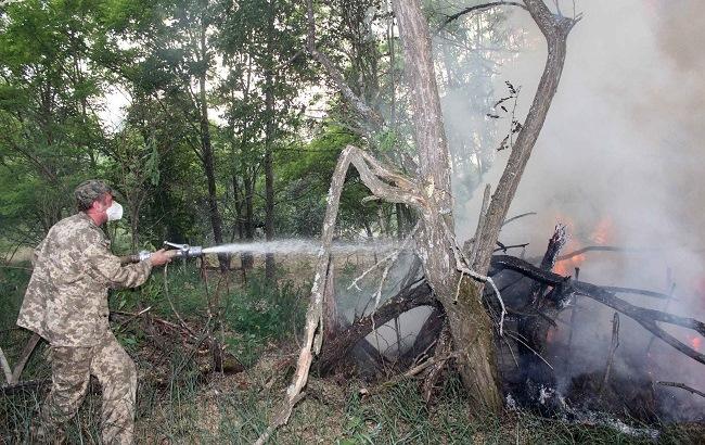 Пожар в Чернобыльской зоне: появились свежие фото и видео