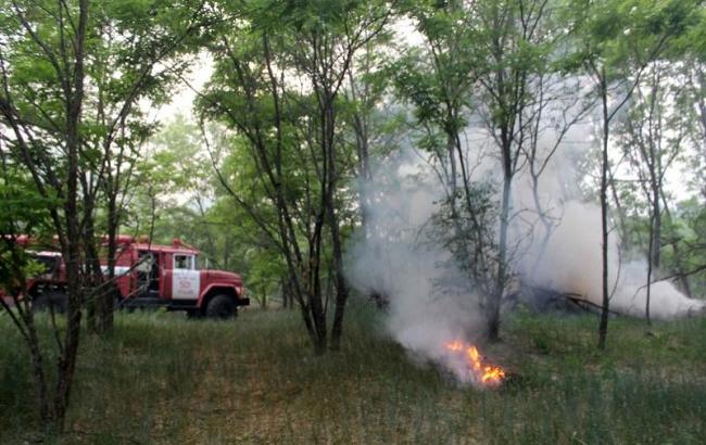 Пожар в Чернобыле: подробности