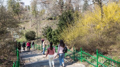 До +8 днем и до -10 ночью: в Украине прогнозируют температурные качели