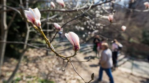 Сонячне закінчення тижня: синоптик порадувала прогнозом