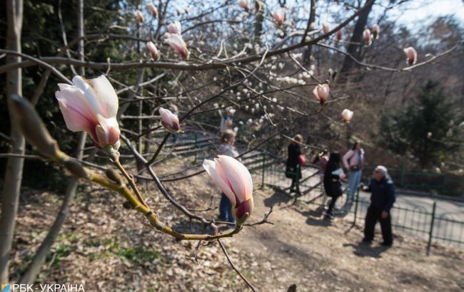 По всей Украине ожидаются заморозки