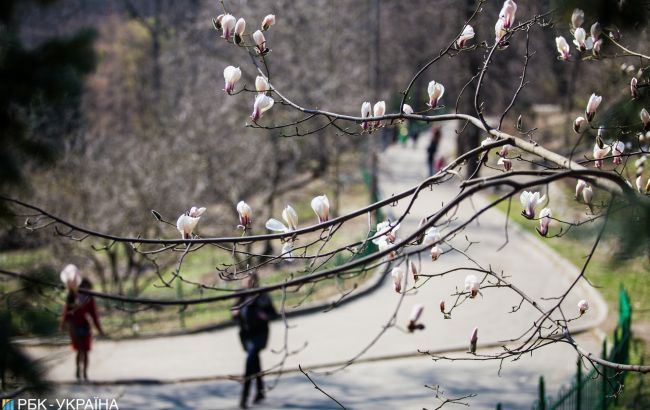 В Україну йде потепління до +17: прогноз погоди на завтра