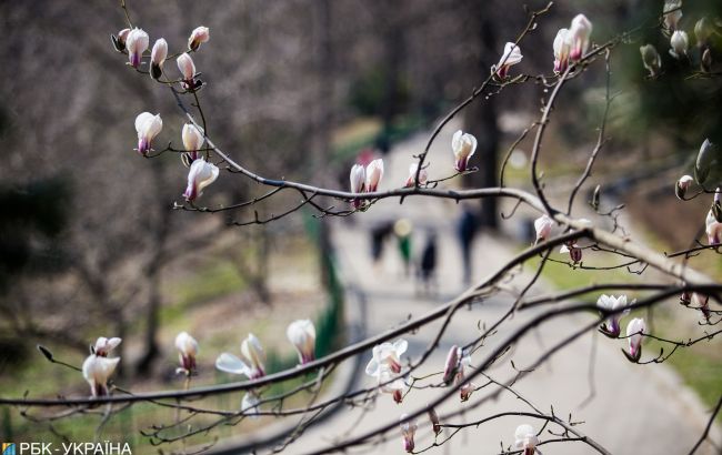 Синоптик порадувала українців прогнозом погоди