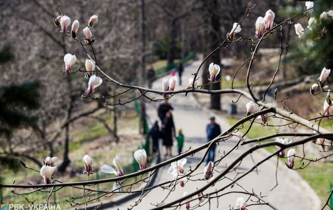 В Україну повертається тепло та сонце: де очікується підвищення температури повітря