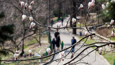 В Киеве обновлены еще два температурных рекорда