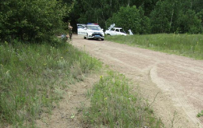 В Житомирской области в ДТП пострадали пять человек, большинство - дети