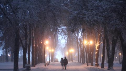 Потепление в Украине: синоптик дал точный прогноз