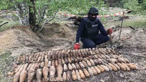 В Донецкой области в лесу нашли почти 500 боеприпасов времен Второй мировой войны