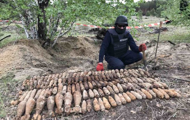В Донецкой области в лесу нашли почти 500 боеприпасов времен Второй мировой войны