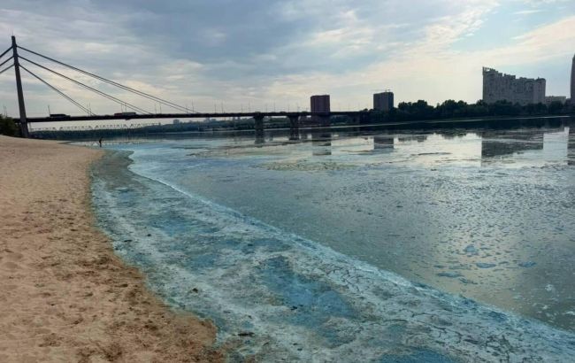 Зелена вода та піна біля берегів: що відбувається з Дніпром і наскільки це небезпечно