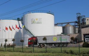 Один із найбільших експортерів рослинної олії Allseeds зупинив роботу через атаки РФ