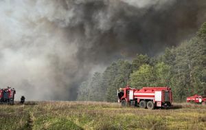 Масштабна лісова пожежа спалахнула під Києвом, вогонь охопив десятки гектарів
