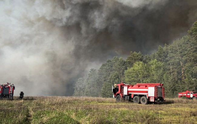 Масштабна лісова пожежа спалахнула під Києвом, вогонь охопив десятки гектарів