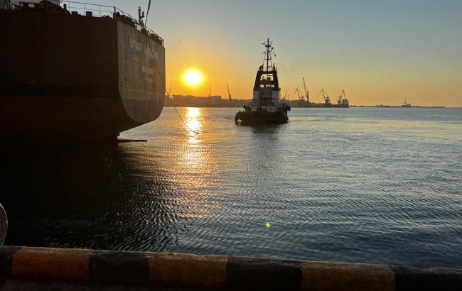 Выход судов с зерном из морских портов Украины приостановлен, - Минобороны Турции