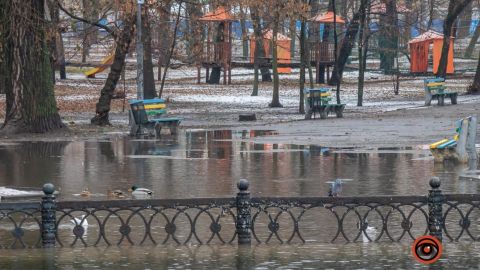 В затопленном парке в Днепре по пешеходных дорожках плавают утки (фото, видео)