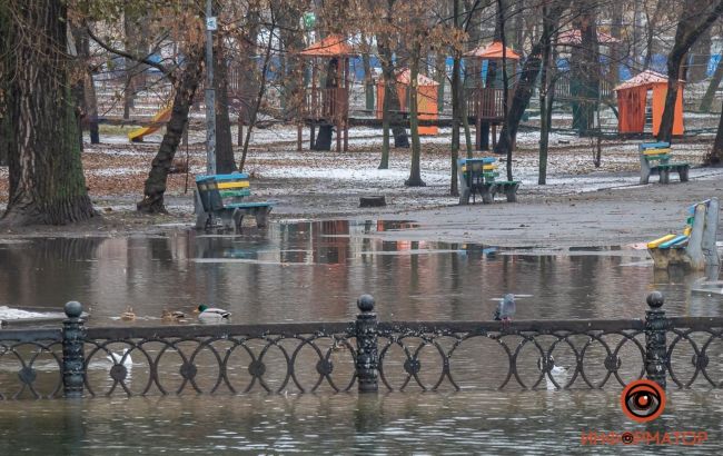 У затопленому парку в Дніпрі пішохідними доріжками плавають качки (фото, відео)