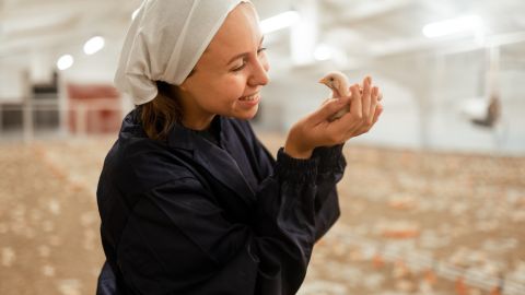 МХП розповів про унікальні технології вирощування птиці