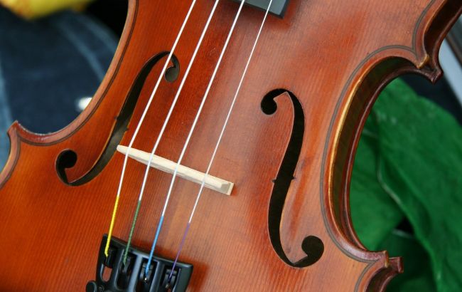 Украинец пытался незаконно вывезти в Болгарию скрипку Страдивари