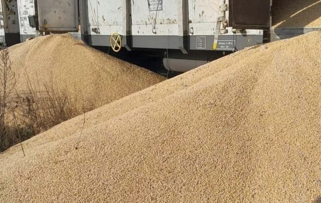 Кубраков о новом инциденте с зерном в Польше: есть сходство с российской гибридной войной