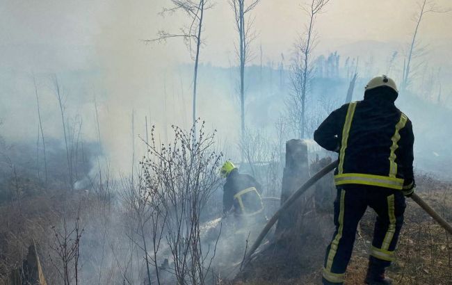 На Закарпатье масштабный пожар на территории лесничества: тушат более 100 человек