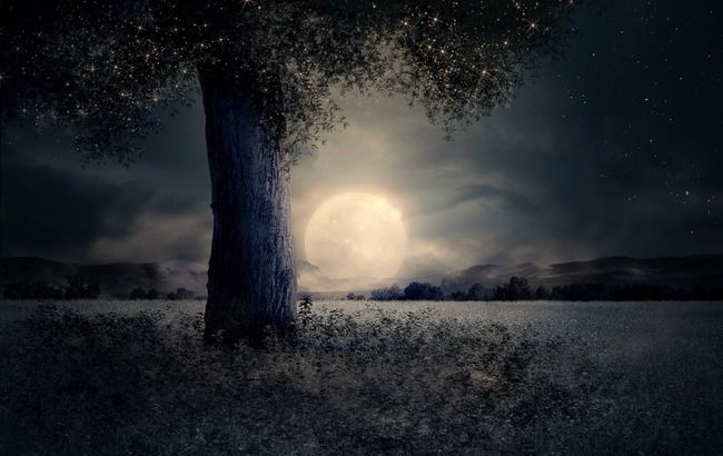 Лунное затмение 21 января: кто ощутит влияние и что делать в этот период