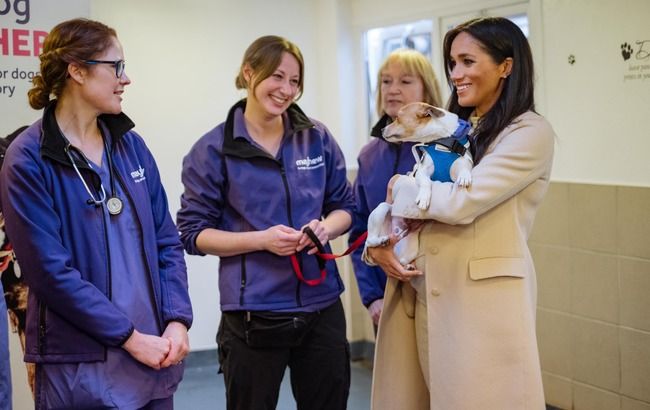 Стильный выход: Меган Маркл показалась на публике в бюджетном платье