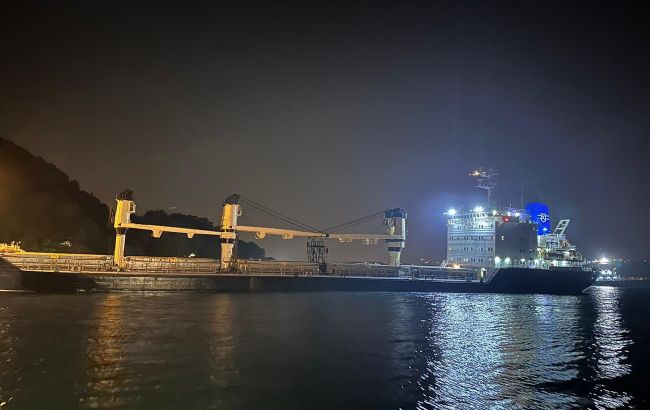 Рух Босфором зупинили через судно з України, яке сіло на мілину (фото)