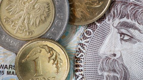 Нацбанк зафиксировал рост злотого к гривне