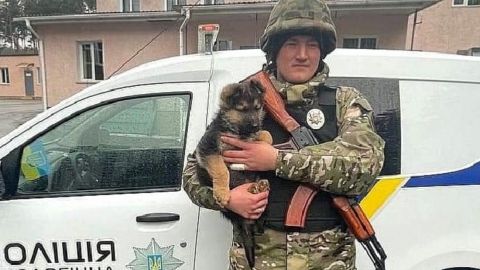 У украинских защитников под Киевом появился необычный Байрактар: подробности