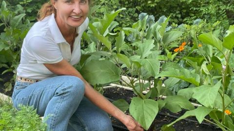 Все как у всех: на огороде у Порошенко уродили помидоры, огурцы и ревень