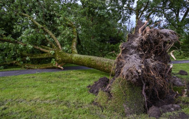 В Україні через негоду без світла залишилися понад півтисячі населених пунктів