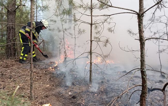 Под Киевом локализовали масштабный пожар: спасатели раскрыли детали