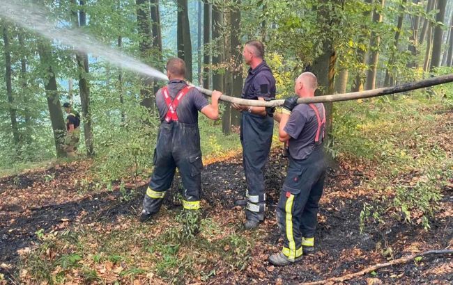 Рятувальники загасили масштабну лісову пожежу на Закарпатті