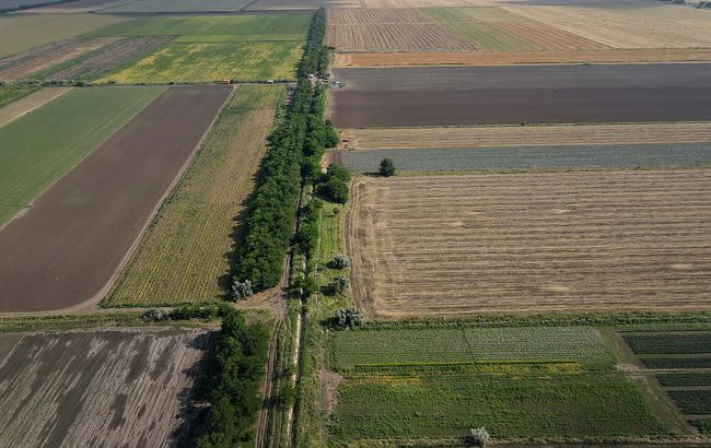 Оккупанты заставляют фермеров Запорожской области продавать зерно в РФ и Крым
