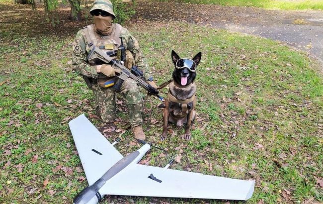 Собака знайшов неушкоджений російський БПЛА, збитий бійцями Нацгвардії під Харковом