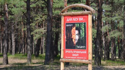 Мораторий на экспорт древесины следует сохранить, однако ввести аукционы по продаже, - ФРУ