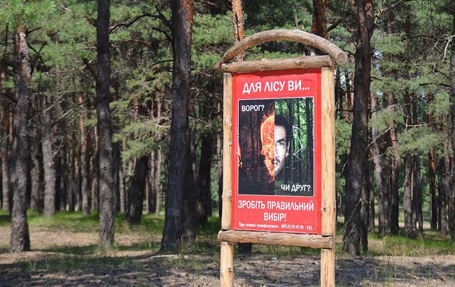 Мораторій на експорт деревини потрібно зберегти, проте запровадити аукціони з продажу, - ФРУ