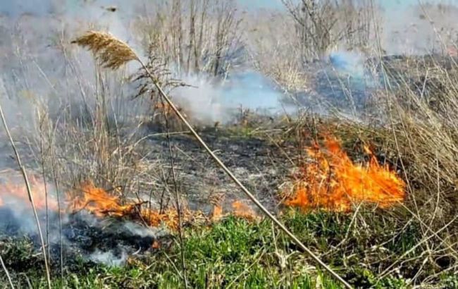 У Чернігівській області росіяни використовують безпілотники із запалювальною сумішшю, - ДПСУ